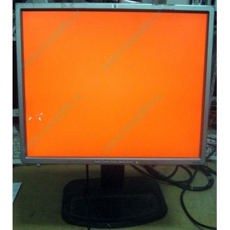 Монитор 19" TFT HP 1955 (DVI в Нижнекамске, USB-хаб) "квадратный" (Нижнекамск)