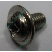 Компьютерный винт "малый" PW-M3x6mm (Нижнекамск)