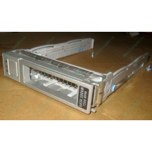 Салазки Sun 350-1386-04 в Нижнекамске, 330-5120-04 1 для HDD (Нижнекамск)