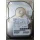 Жесткий диск 18.2Gb IBM Ultrastar DDYS-T18350 Ultra3 SCSI (Нижнекамск)