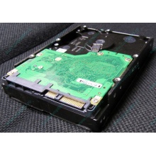 Жесткий диск 600Gb 15k Dell 9FN066-008 6G SAS ( Seagate Cheetach ST3600057SS 15K.7) - Нижнекамск
