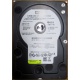 Б/У жёсткий диск 400Gb WD WD4000YR Caviar RE2 7200 rpm SATA  (Нижнекамск)