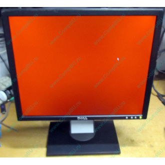 Dell E197F P в Нижнекамске, монитор 19" TFT Dell E197FPb (Нижнекамск)