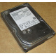 HDD 500Gb Hitachi HDS721050DLE630 донор на запчасти (Нижнекамск)