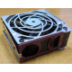 HP 224977 (224978-001) for Proliant ML370 G2/G3/G4 (Нижнекамск).