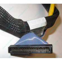 Кабель SCSI HP 166298-037 для HP ML370 G4 (Нижнекамск)