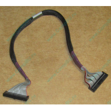 FDD-кабель HP 271946-006 для HP ML370 G3 G4 (Нижнекамск)