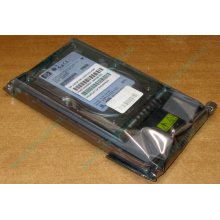 Жёсткий диск 146.8Gb HP 365695-008 404708-001 BD14689BB9 256716-B22 MAW3147NC 10000 rpm Ultra320 Wide SCSI купить в Нижнекамске, цена (Нижнекамск).