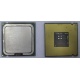 Процессор Intel Celeron D 336 (2.8GHz /256kb /533MHz) SL98W s.775 (Нижнекамск)