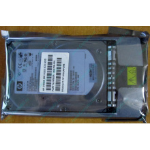 HDD 146.8Gb HP 360205-022 404708-001 404670-002 3R-A6404-AA 8D1468A4C5 ST3146707LC 10000 rpm Ultra320 Wide SCSI купить в Нижнекамске, цена (Нижнекамск)