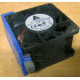 Вентилятор TFB0612GHE для корпусов Intel SR2300 / SR2400 (Нижнекамск)