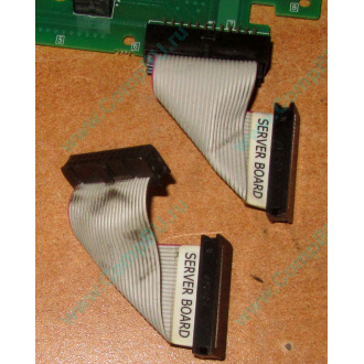 6017B0045701 Шлейф 24 pin для Intel C74974-401 T0043401-B01 корпуса SR2400 (Нижнекамск)