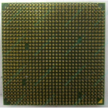 Процессор AMD Sempron 3000+ (1.6GHz) SDA3000IAA3CN s.AM2 (Нижнекамск)